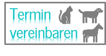 Termin vereinbaren